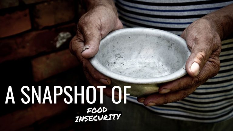 A Snapshot of Food Insecurity